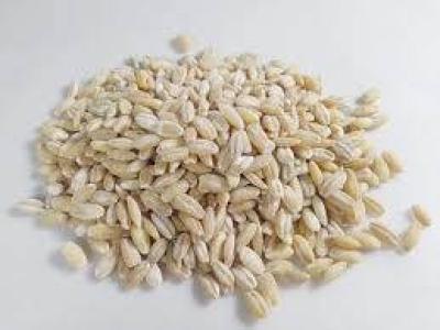 جو پوست کنده فله